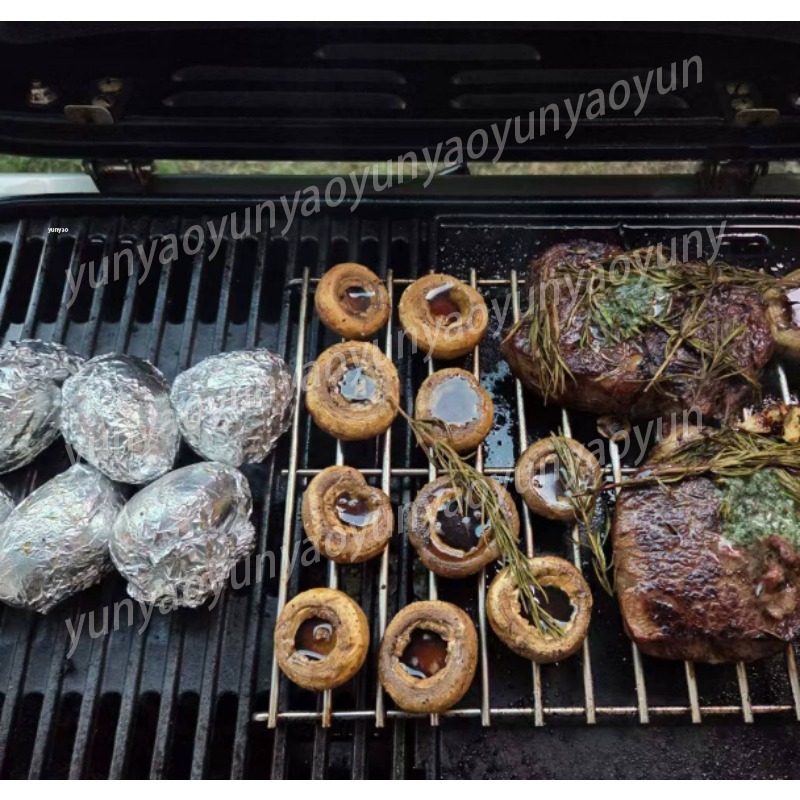 Draagbare opvouwbare buiten ca - Camping Cooking Easy recensie en prijs